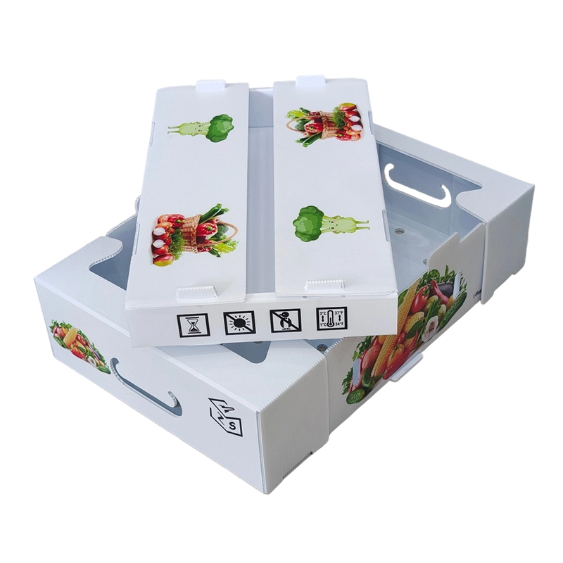 Feuchtigkeitsdichte, individuell bedruckte Obst-Umschlagbox aus PP-Wellpappe aus Kunststoff