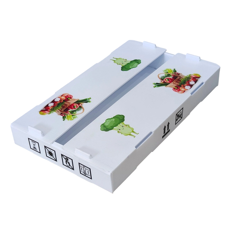 Feuchtigkeitsdichte, individuell bedruckte Obst-Umschlagbox aus PP-Wellpappe aus Kunststoff