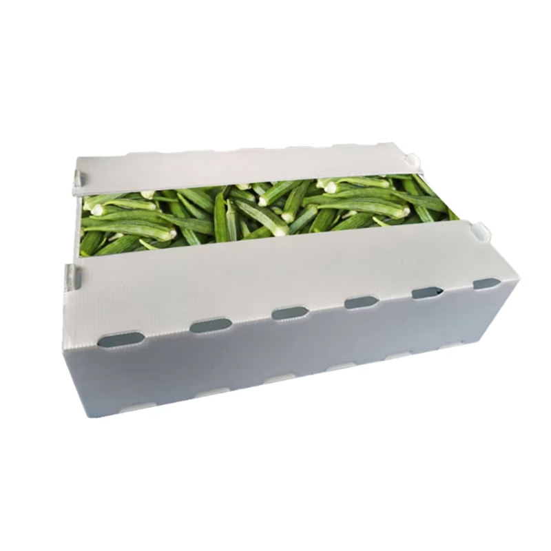 Feuchtigkeitsdichte, individuell bedruckte Obst-Umschlagbox aus PP-Wellpappe aus Kunststoff