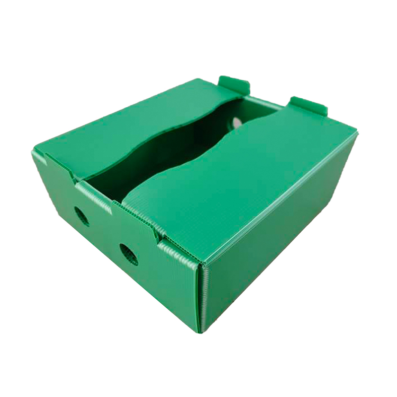 Feuchtigkeitsdichte, individuell bedruckte Obst-Umschlagbox aus PP-Wellpappe aus Kunststoff