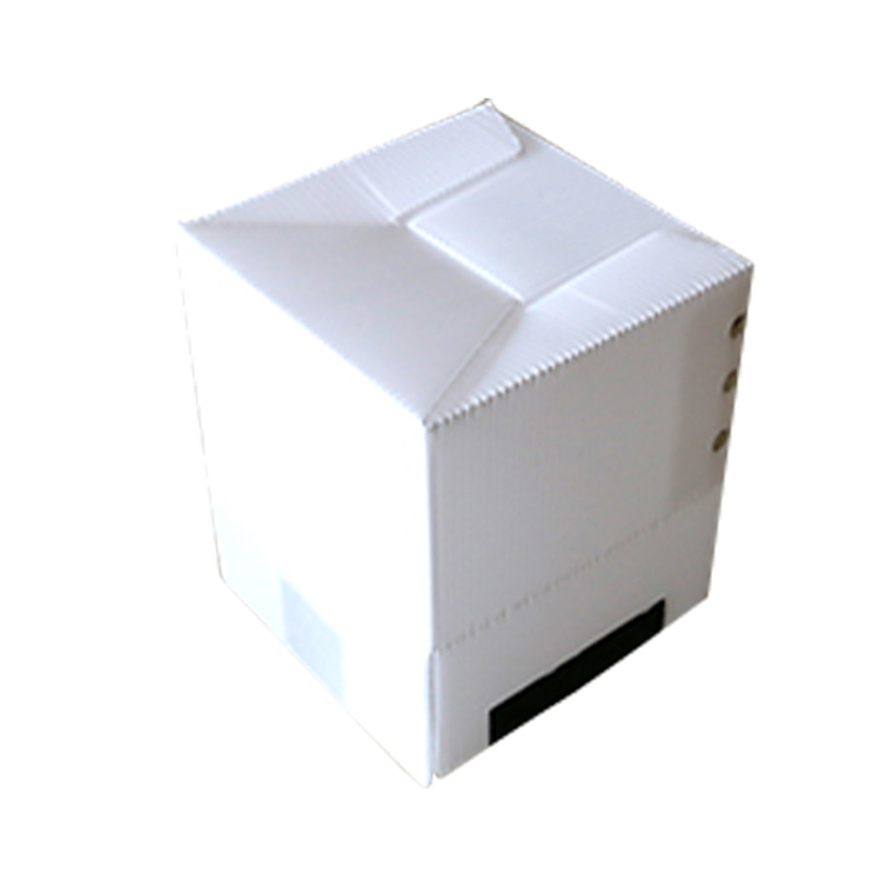 Quadratische recycelbare PP-Wellblechbox mit Klettverschluss