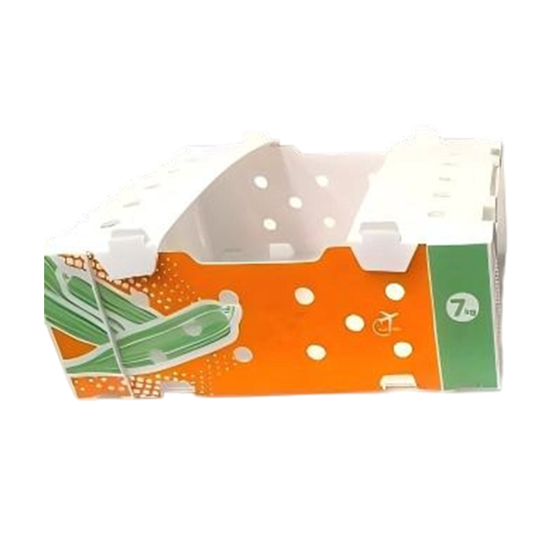 Faltbare bedruckte PP-Wellbox für Gemüse und Obst