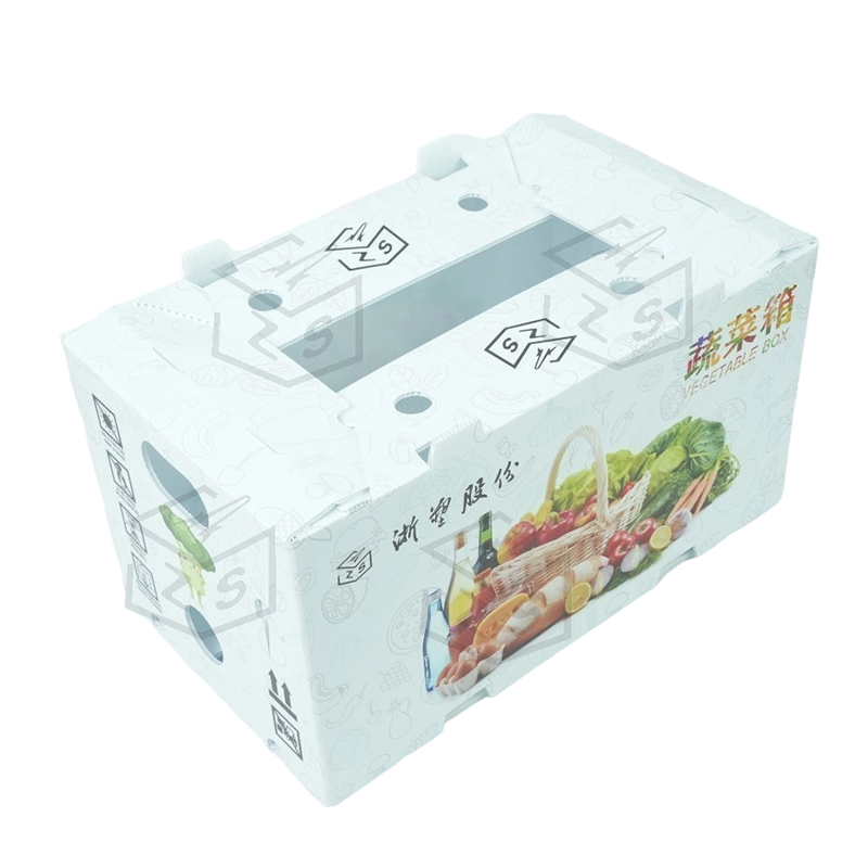 Wiederverwendbare wasserdichte PP Corflute Obstbox