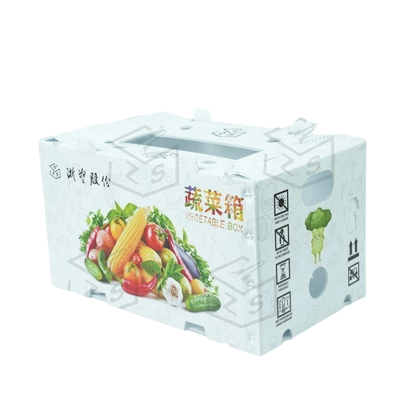 Wiederverwendbare wasserdichte PP Corflute Obstbox