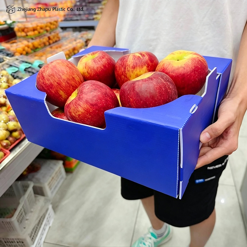 Faltbare bedruckte PP-Wellbox für Gemüse und Obst