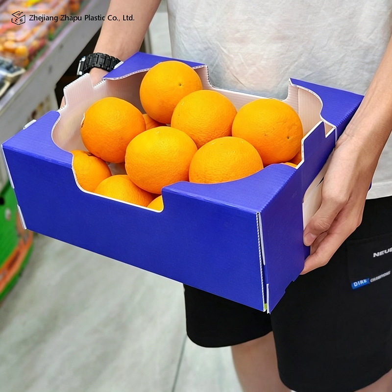Faltbare bedruckte PP-Wellbox für Gemüse und Obst
